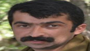 Mardin'de "kırmızı" ve "turuncu" kategoride iki terörist etkisiz hale getirildi