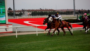 9. Uluslararası Portakal Çiçeği Karnavalı sona erdi