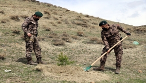 Ağrı'da polisler şehit meslektaşlarının anısına fidan dikti 