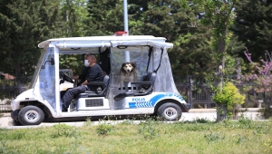 Antalya ve Isparta'da sokağa çıkma kısıtlaması nedeniyle sessizlik hakim oldu