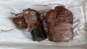 Bitlis'te PKK'lı teröristlerce toprağa gizlenmiş 4 el yapımı patlayıcı imha edildi