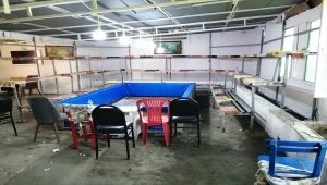 Çanakkale'de horoz dövüştüren ve Kovid-19 tedbirlerini ihlal eden 54 kişiye 151 bin lira ceza kesildi