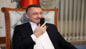 Cumhurbaşkanı Yardımcısı Oktay, milli sporcu Rıza Kayaalp'i tebrik etti