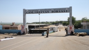 Diyarbakır Canlı Hayvan Borsasında silahlı kavga: 1 ölü, 5 yaralı