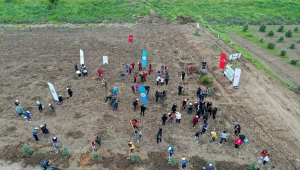 Edirne'de kadına yönelik şiddetle mücadele kapsamında başlatılan "Mercan Seferberliği"nde fidanlar toprakla buluştu
