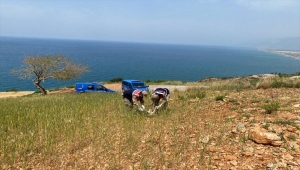 Hatay'da yaralı halde bulunan leyleğe jandarma sahip çıktı