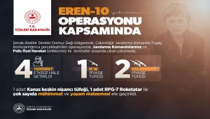 İçişleri Bakanı Soylu, Şırnak'taki Eren-10 Operasyonu'nda 4 teröristin etkisiz hale getirildiğini bildirdi