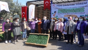 İzmir'de yerli tohumlardan elde edilen sebze fideleri 15 bin kadına dağıtılıyor 