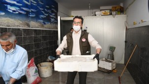 Kayseri'de kaçak avlanan 1250 kilogram sazan ve yayın balığı ele geçirildi