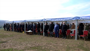 Kocaeli'de Türkiye Azerbaycan Kardeşlik Ormanı'na ilk fidanlar dikildi