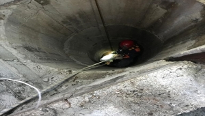 Mersin'de su kuyusuna düşen keçiyi itfaiye kurtardı