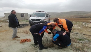 Niğde'de boş su kuyusuna düşen kuzuyu AFAD ekipleri kurtardı