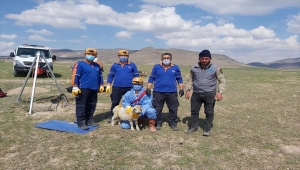 Niğde'de boş su kuyusuna düşen kuzuyu AFAD kurtardı