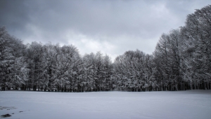 Nisan ayında yağan kar Domaniç Dağları'nı beyaza bürüdü