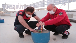 Peygamberler şehri Şanlıurfa'da iftar topu yerine ses bombası kullanılıyor 