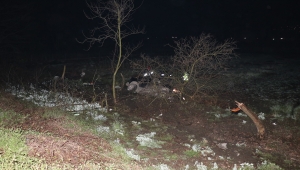 Sakarya'da ağaca çarpan pikabın sürücüsü öldü