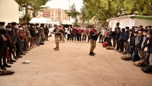 Şanlıurfa'da üç minibüste 101 düzensiz göçmen yakalandı