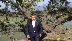 TBMM Dijital Mecralar Komisyonu Başkanı Yayman: "Dendias'ın açıklamalarını asla kabul etmiyoruz"