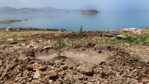 Van'da ıslah edilen vahşi çöp depolama alanı ağaçlandırılıyor