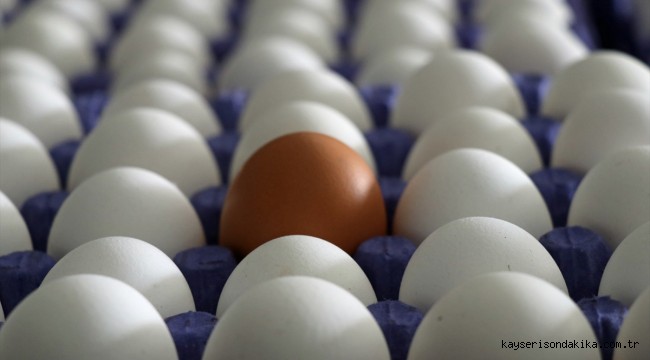 YUM-BİR Başkanı Afyon: yumurtaya zam yok!