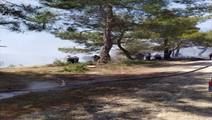 Adana'da çıkan orman yangını kontrol altına alındı