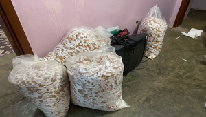 Adana'da gümrük kaçağı 6 milyon 400 bin makaron ele geçirildi