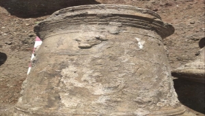 Adana'da sit alanında kaçak kazı yapan şüpheli gözaltına alındı