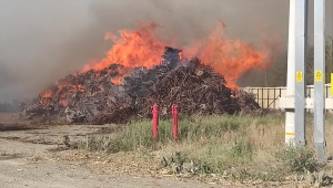 Afyonkarahisar'da biyokütle enerji santralinde yangın çıktı