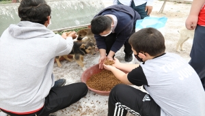 Ankara'da engelli sporcular, harçlıklarıyla aldıkları mamalarla sokak hayvanlarını besledi