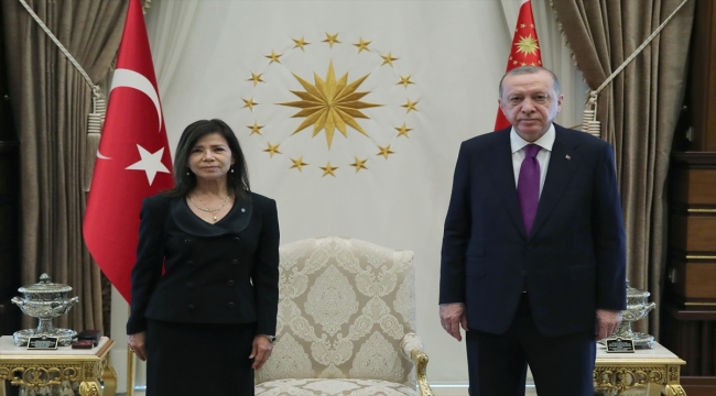 Arjantin Büyükelçisi Salas, Cumhurbaşkanı Erdoğan'a güven mektubu sundu