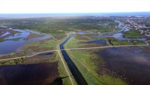 Baharın gelmesiyle göz alıcı güzellikler sunan Kızılırmak Deltası ziyaretçilerini bekliyor