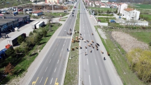 Bolu'da yaylalara "göç" başladı