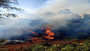 Burdur'da çıkan orman yangını kontrol altına alındı 