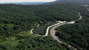 Domaniç Dağlarında ilkbahar güzelliği