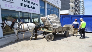 Edirne'de at arabasıyla çarpışan motosikletli kurye yaralandı