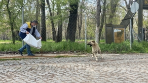 Edirne'de salgın sürecinde sokağa terk edilen hayvan sayısı artıyor
