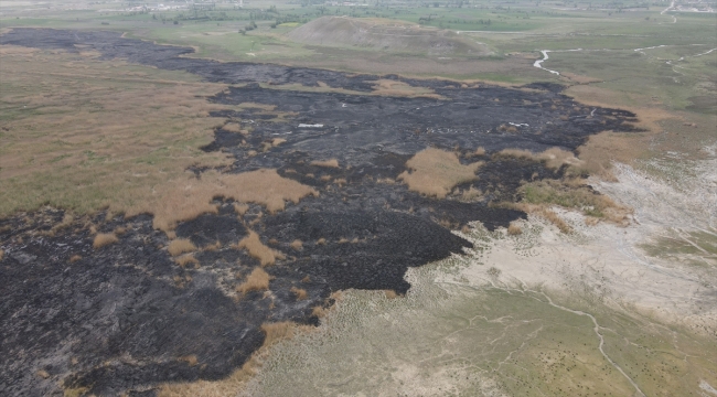 Erzincan'da koruma altında bulunan Ekşisu Sazlık Alanı'ndaki yangın söndü