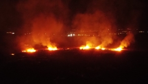 Erzincan'da koruma altındaki Ekşisu Sazlık Alanı'nda yangın çıktı