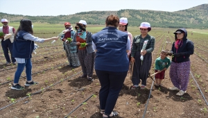 Gaziantep'e tarlada çalışan kadınlara "Anneler Günü" sürprizi