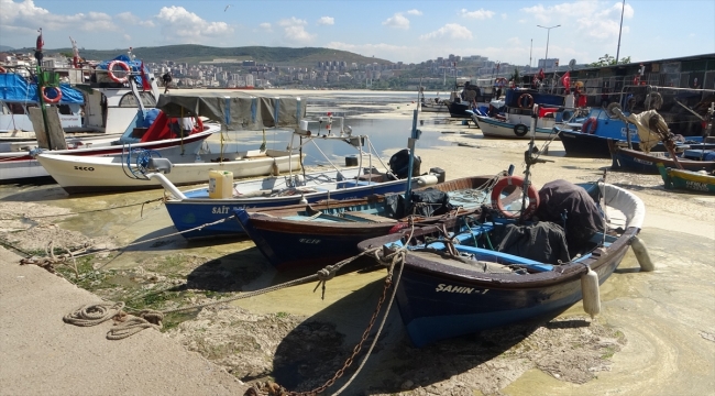 Gemlik Körfezi deniz salyası nedeniyle açık renkte tabakayla kaplandı