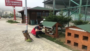 Giresun'da "tam kapanma" sürecinde sokak hayvanları unutulmuyor