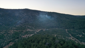 GÜNCELLEME 1 - Milas'ta ormanlık alandaki yangın kontrol altına alındı