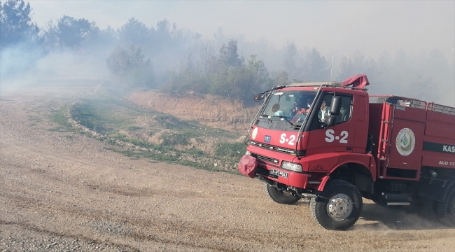 GÜNCELLEME - Kastamonu'da çıkan orman yangını kontrol altına alındı