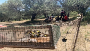 Hatay'da saka kuşu avlayan kişiye 14 bin 357 lira ceza kesildi