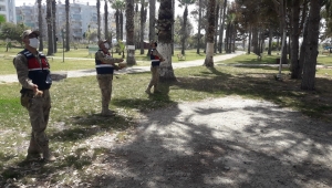 Hatay'da, tam kapanmada sokak hayvanları unutulmadı