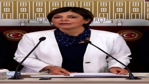 HDP'li Beştaş, HSK üyelerinin Millet ve Cumhur ittifakları arasında pazarlıkla belirlendiğini öne sürdü