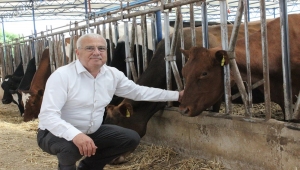 İzmirli süt üreticileri Ramazan Bayramı'nda mağdur olmadı