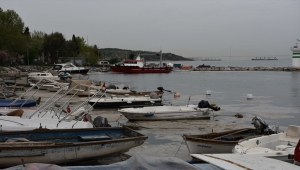 İzmit Körfezi'nde görülen deniz salyası etkisini sürdürüyor