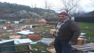 Karabük'te ayılar arı kovanlarını parçaladı