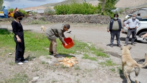 Kars'ta kısıtlama günlerinde sokak hayvanları unutulmadı